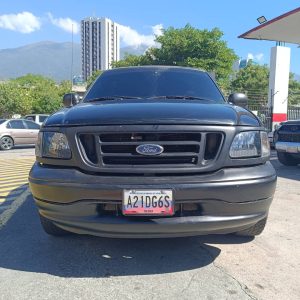 FORD F150 (1)