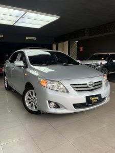 WhatsApp Image 2026-02-19 at 2.46.29 PM